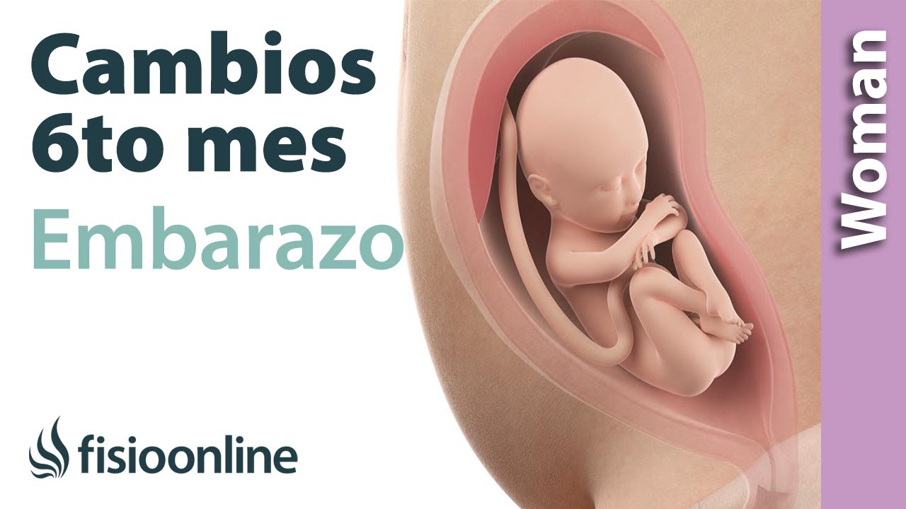CAMBIOS durante el EMBARAZO mes a mes SEXTO MES