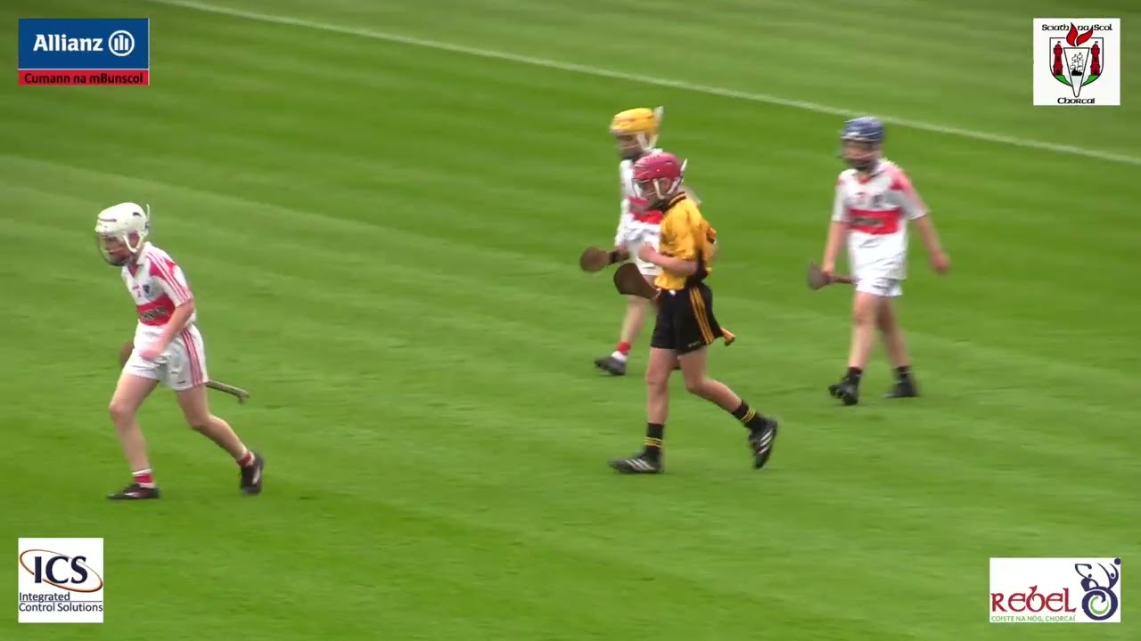 Glenville v Blarney