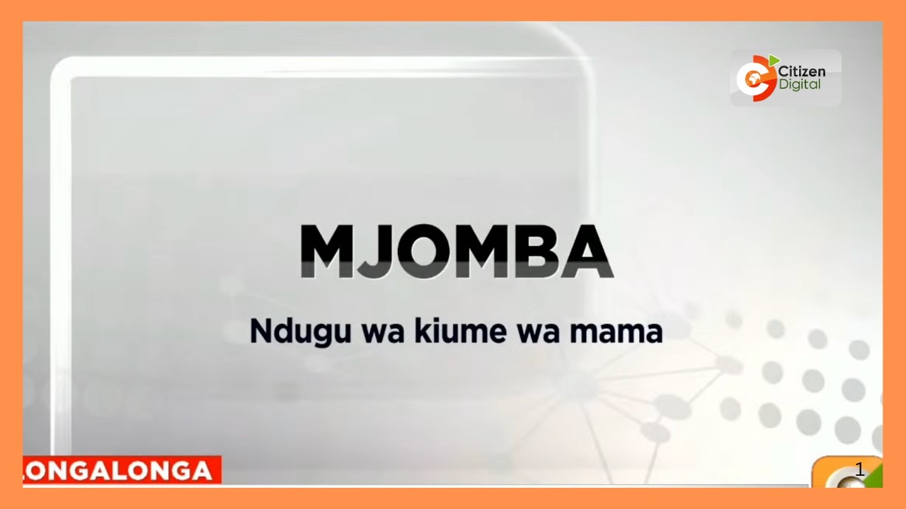 LONGALONGA ~ FEBRUARI 13, 2026 | Tofauti ya Ami na Mjomba |