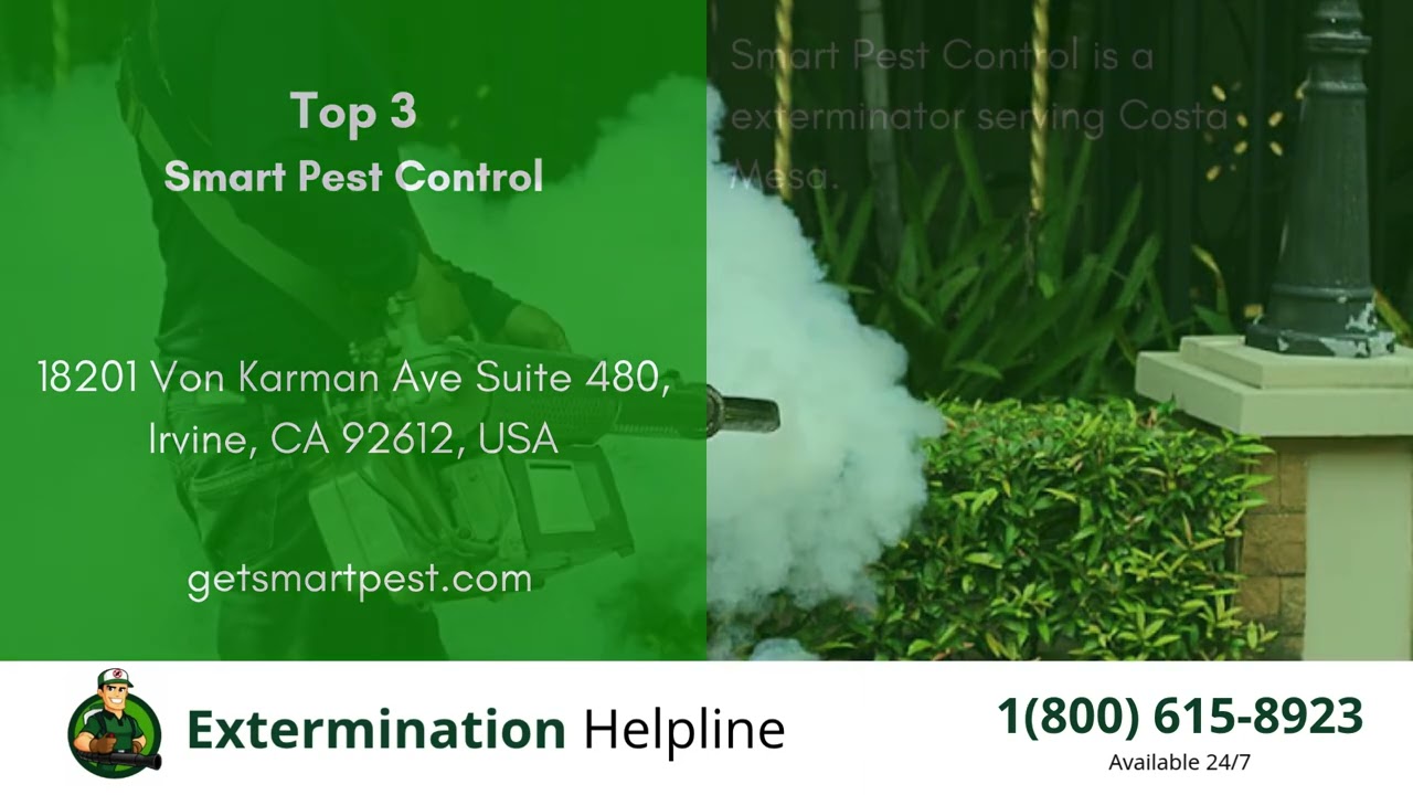 Top 3 Exterminators in Costa Mesa