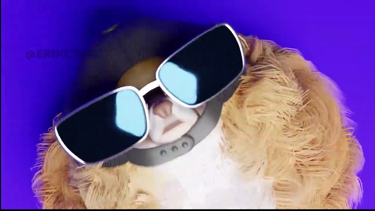 Chiki Chiki Dog