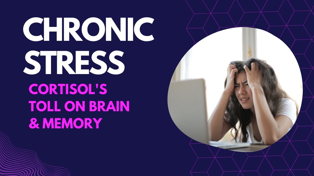 Chronic Stress: Cortisol's Toll on Brain & Memory
