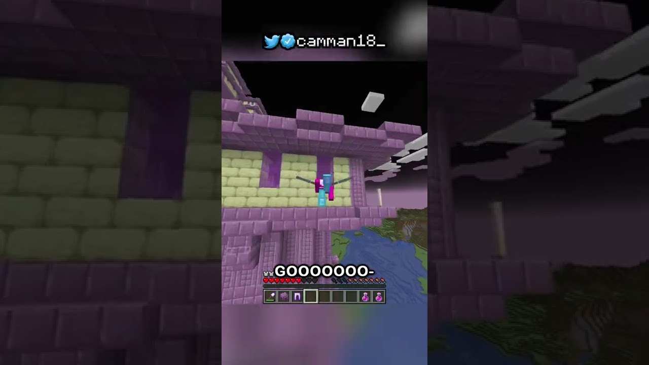 i loaded the end in the overworld...