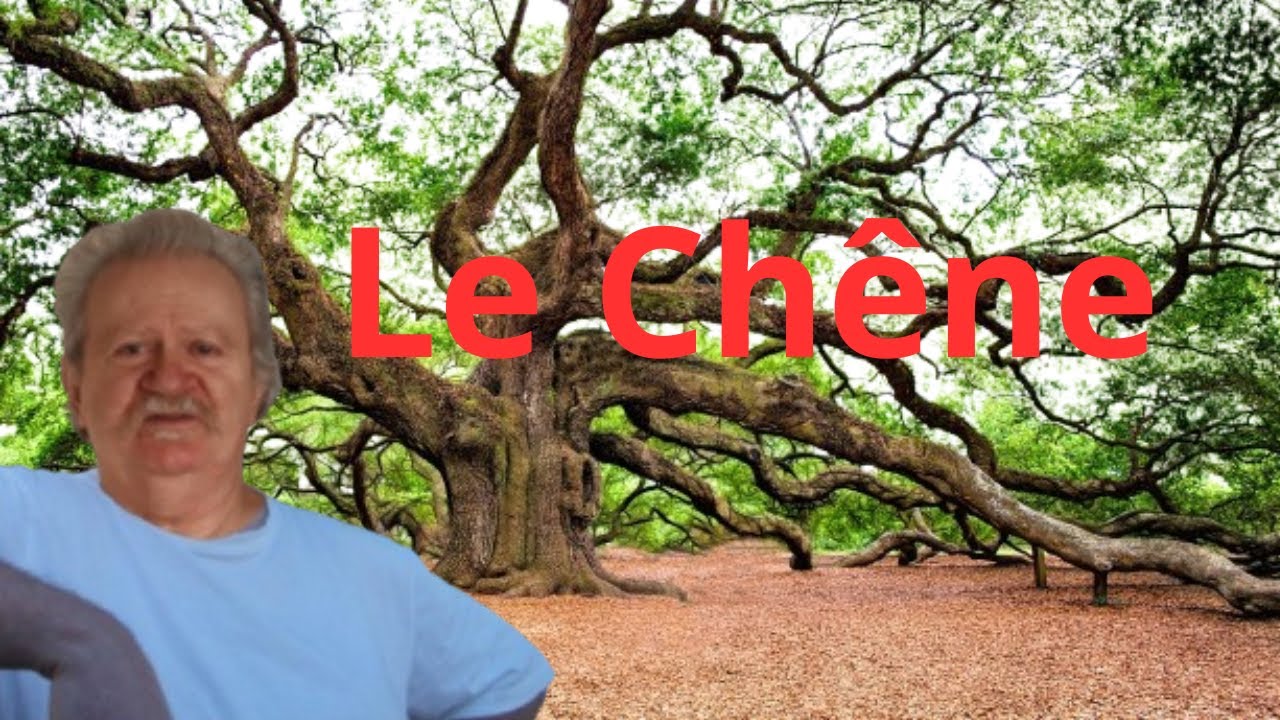 Le Chêne