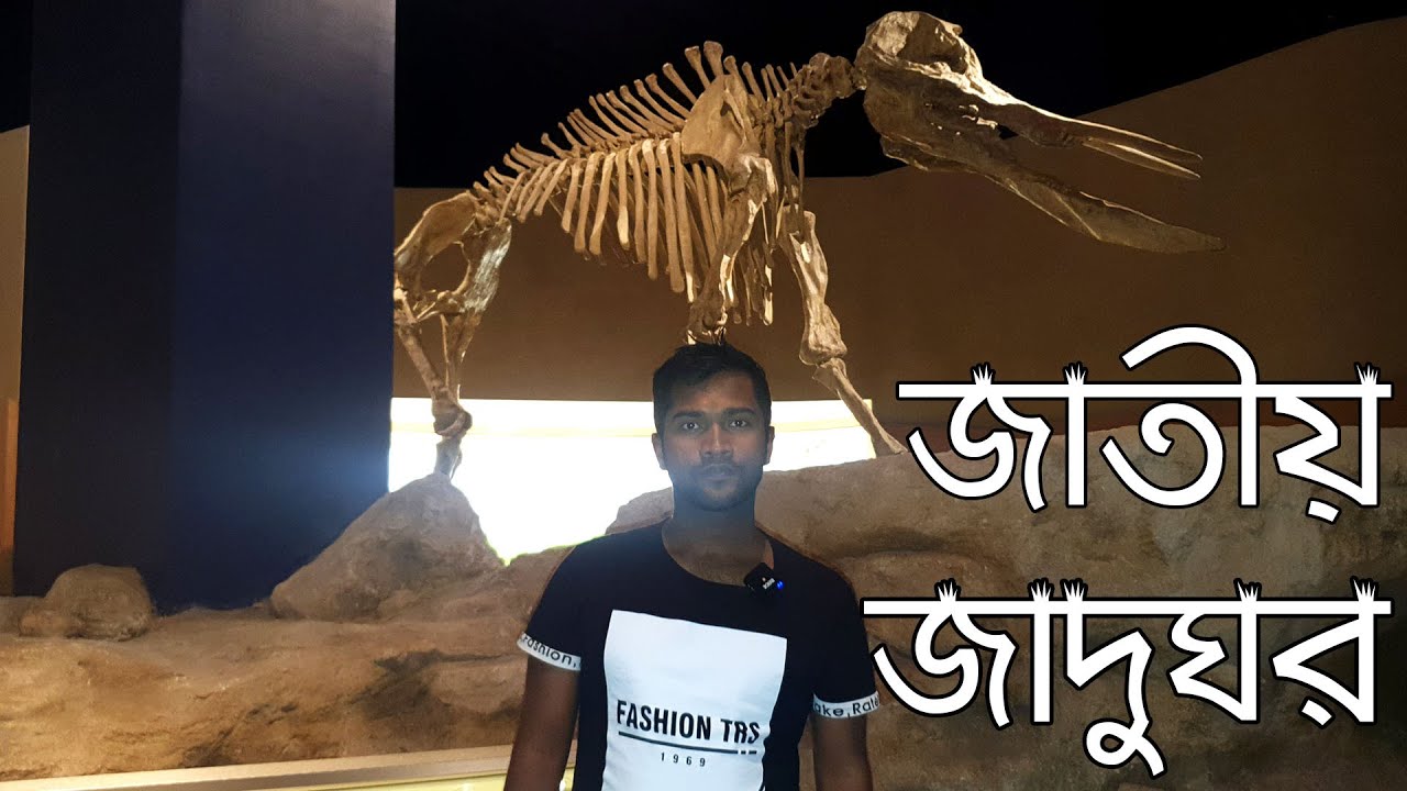 National Museum Riyadh, Saudi Arabia | সৌদি আরবের জাতীয় জাদুঘর
