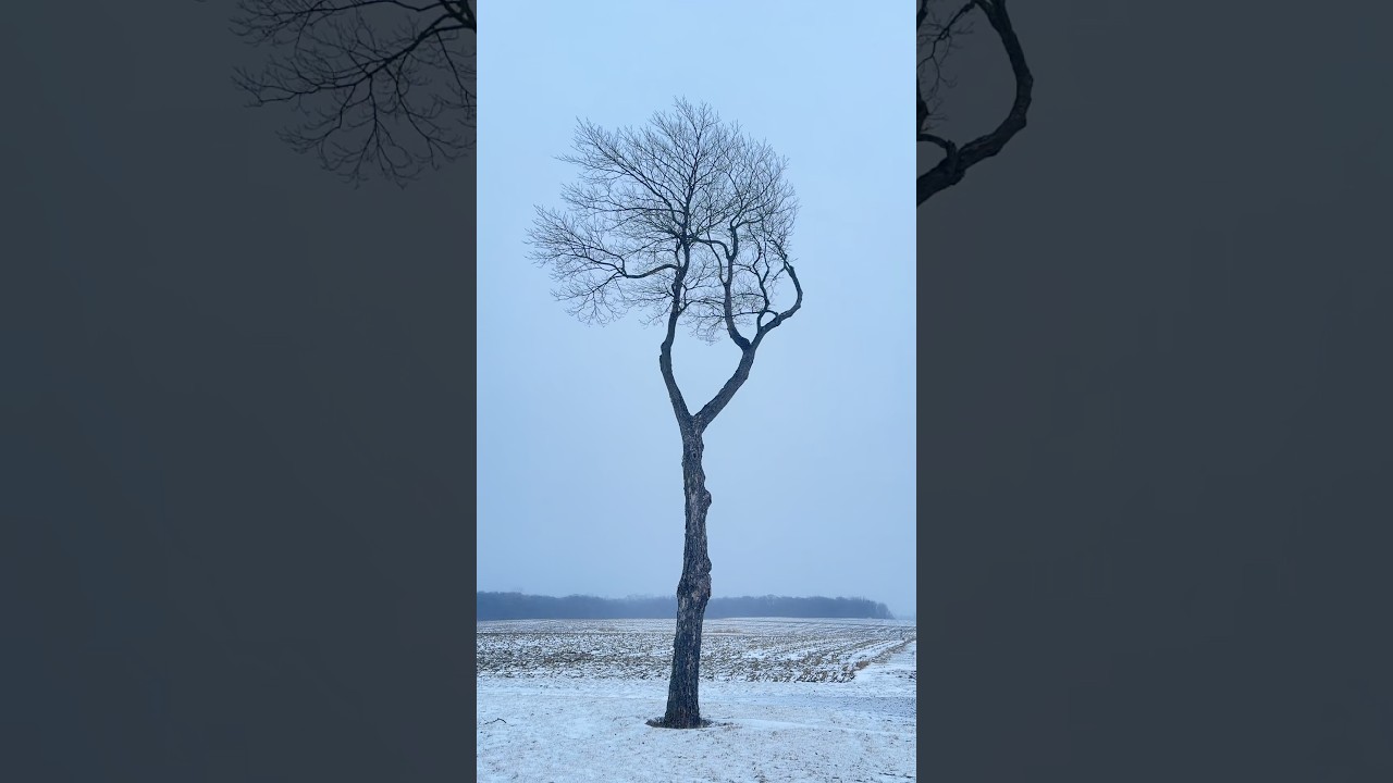A Quiet Stop Outside Lexington, IL | Winter Wind & Snow