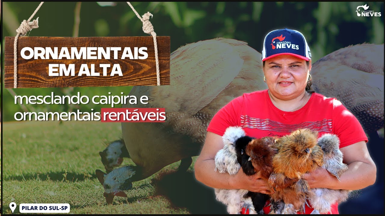 😮SURPREENDENTE COMO essa criação de ornamentas está GERANDO LUCRO para ela.