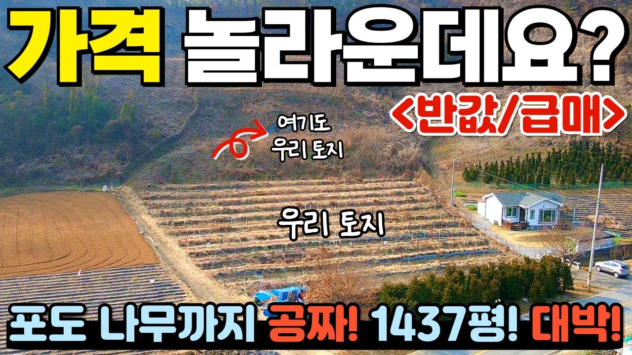 [411]🚨9800만원🚨 / 1437평! 포도 다 드림~  / 충청북도 제천시 수산면 농막, 전원주택, 주말농장 토지 매매 #제천부동산