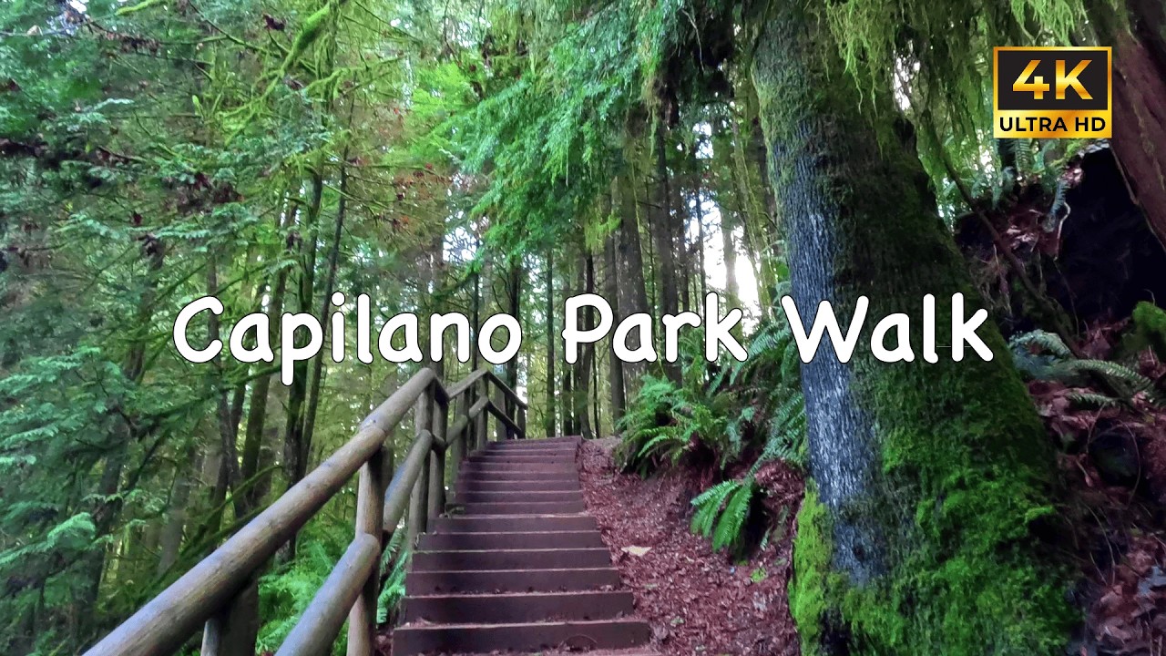 Capilano Park Walk & Cleveland Dam 🇨🇦 | North Vancouver Nature Escape | 4K