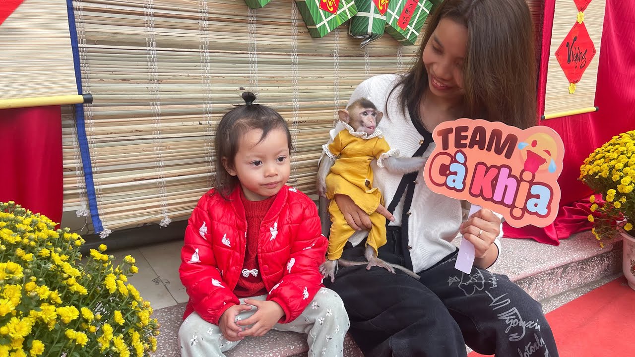 Monkey Annie goes to the spring festival at school with her siblings