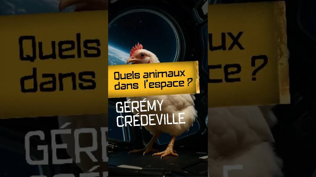 Ces animaux ont vraiment &eacute;t&eacute; envoy&eacute;s dans l'espace ? Quiz avec G&eacute;r&eacute;my Cr&eacute;deville