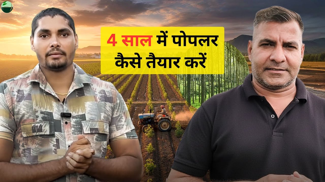 1527-Kisan karyashala: पोपलर के पेड़ की खेती की बारीक संपूर्ण जानकारी #rahuljawan  के साथ।