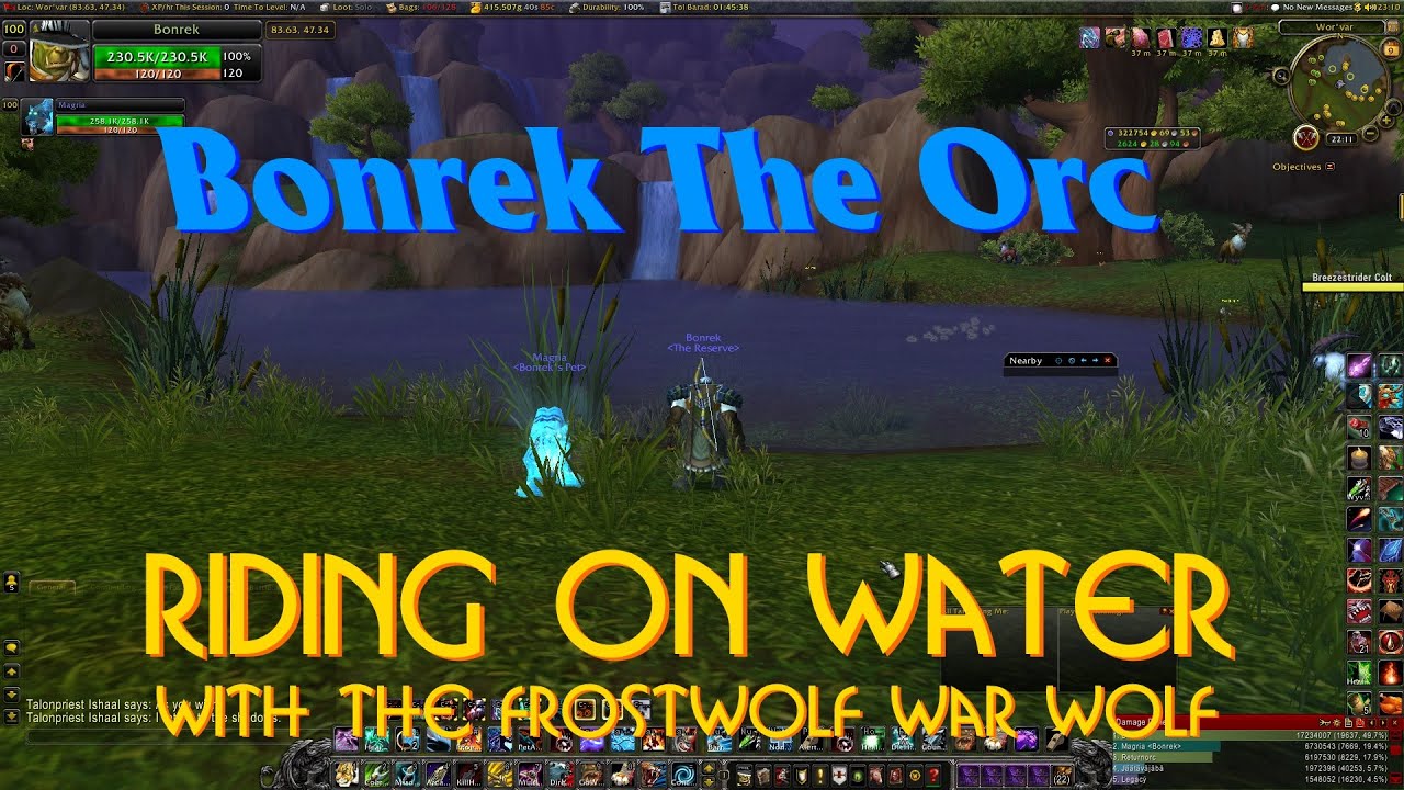 WoW: Riding On Water With The Frostwolf War Wolf
