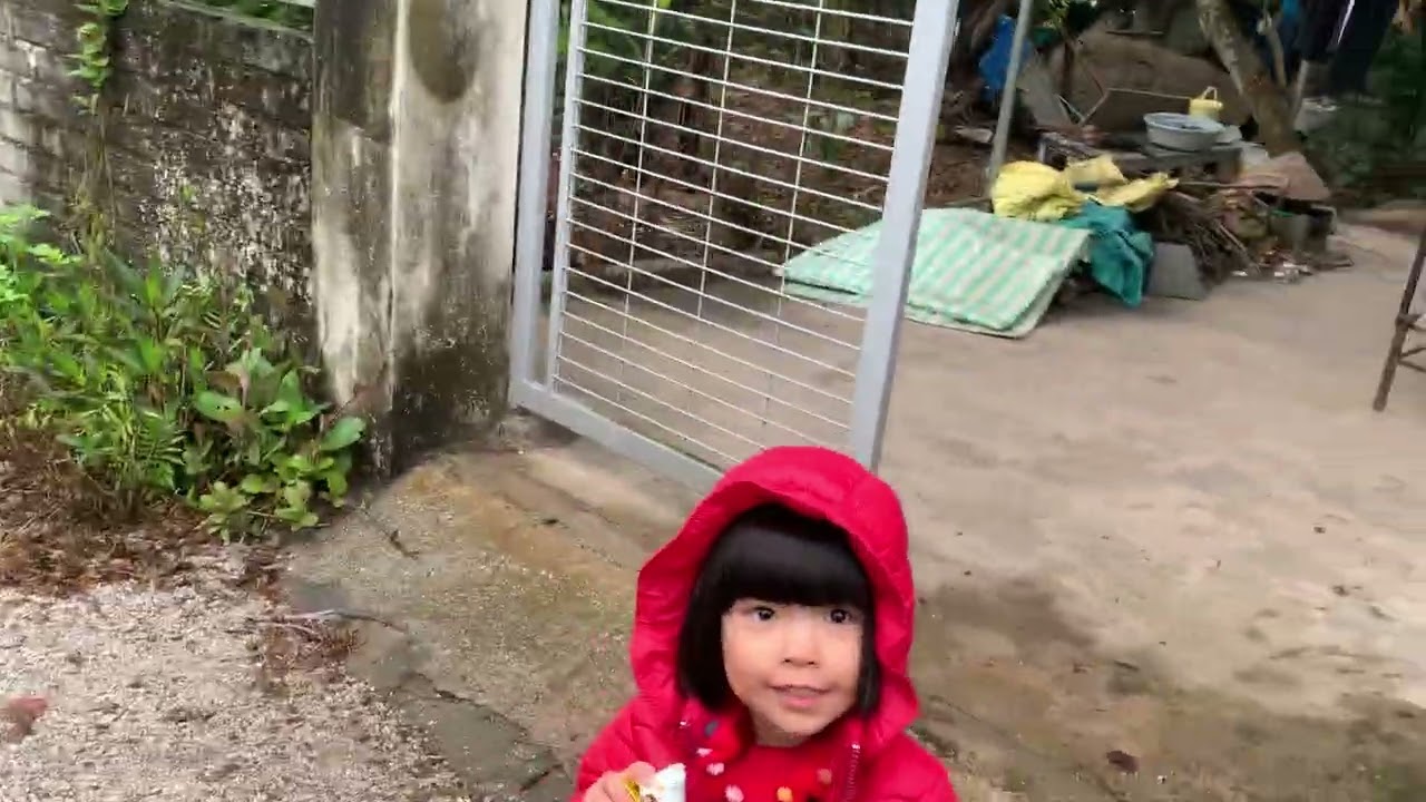 Về quê