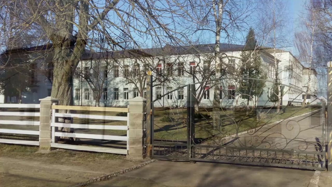 Наш прекрасний Цумань