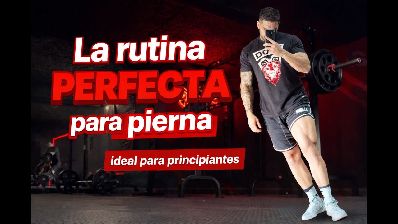 La RUTINA PERFECTA para PIERNA! (Ideal para principiantes)
