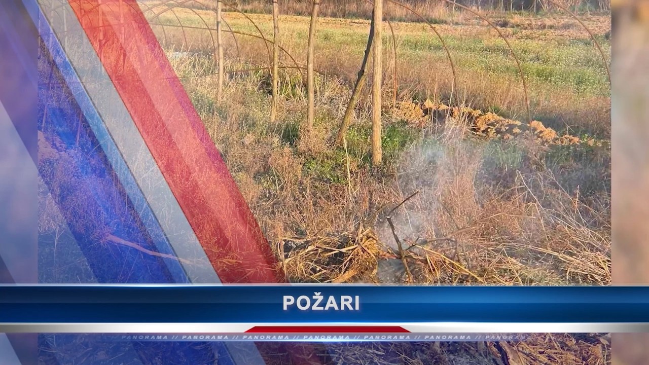 Panorama 16.3.2026. | TV Leskovac