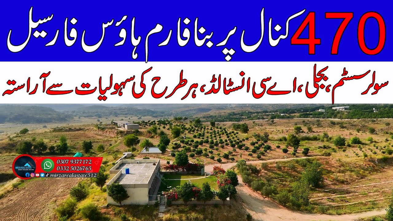 470 Kanal Luxury Farm House for Sale in Chakwal 2025 | Solar System | Olive & Citrus Farm #chakwal