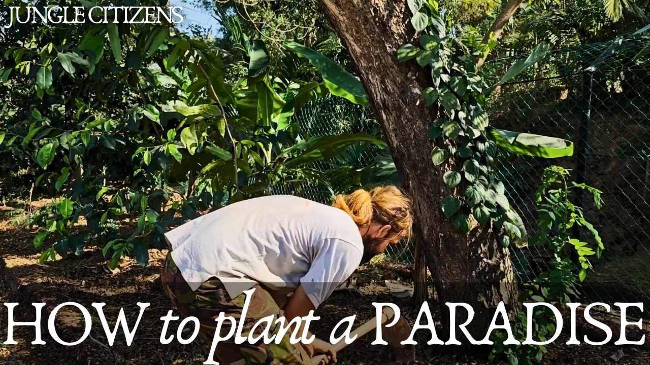 planting your GARDEN or PERMACULTURE FARM - a step by step walkthrough guide for the happiest plants