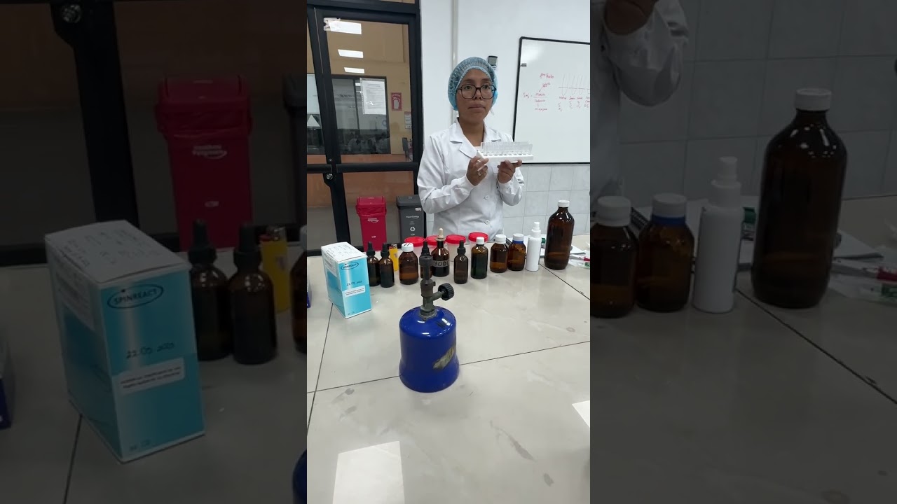 Práctica final de Bioquímica 