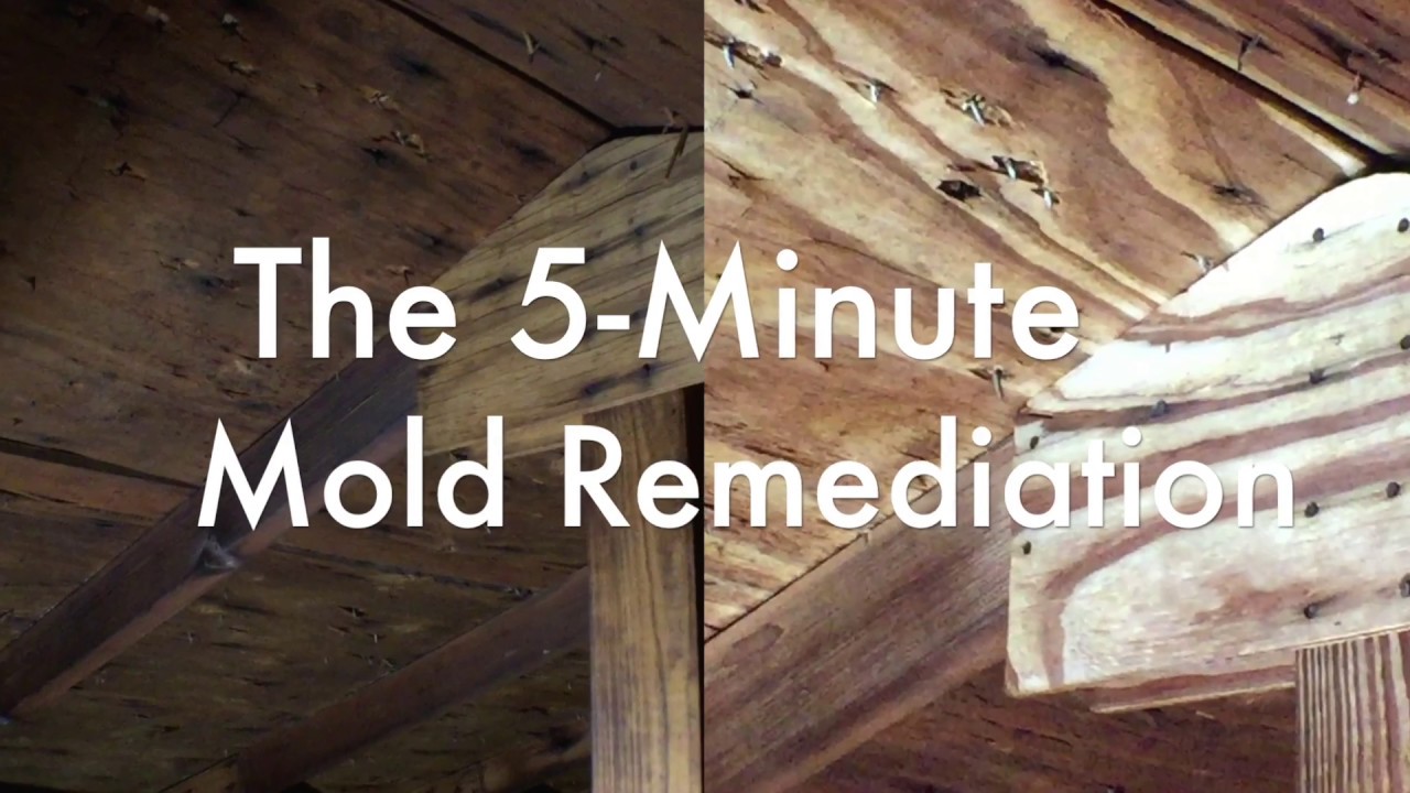 The 5-Minute Mold Remediation with OxyPrep and Oxypar LR (aka The REACT/EXTRACT Remediation System)