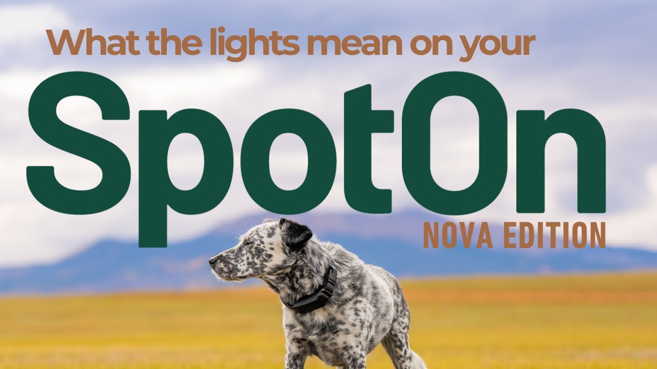 SpotOn GPS Dog Fence | Nova Edition: What Your Collar Lights Mean 