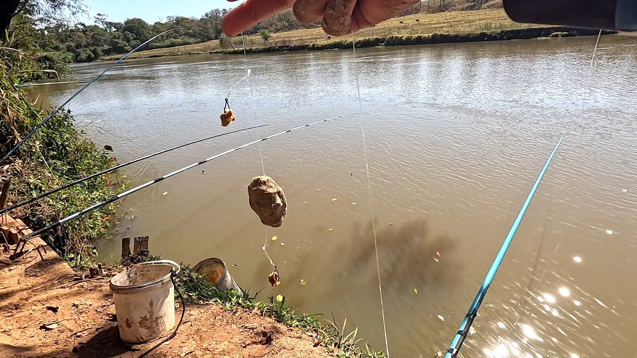 Pescaria de curimba e Piau nas corredeiras do Rio turvo Pescamos e Preparamos no barranco 