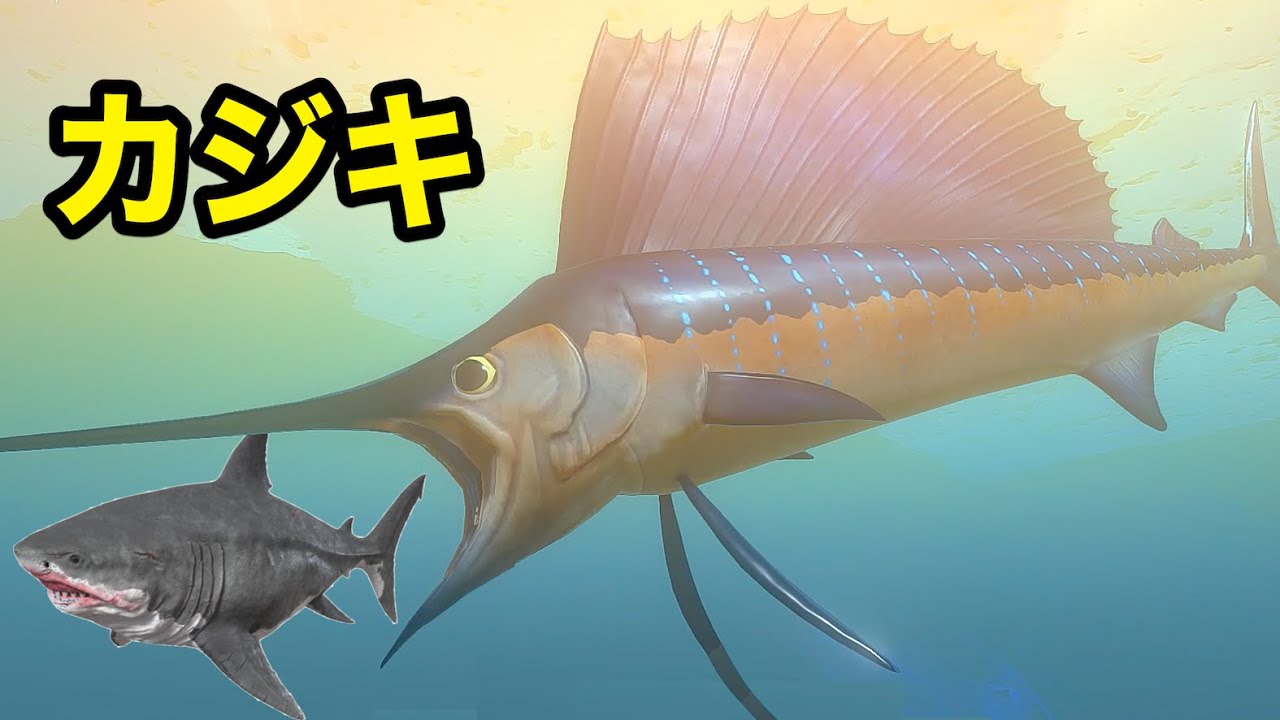 よわすぎるカジキを巨大な神カジキになるまでやりこんだ【 Feed and Grow Fish 】
