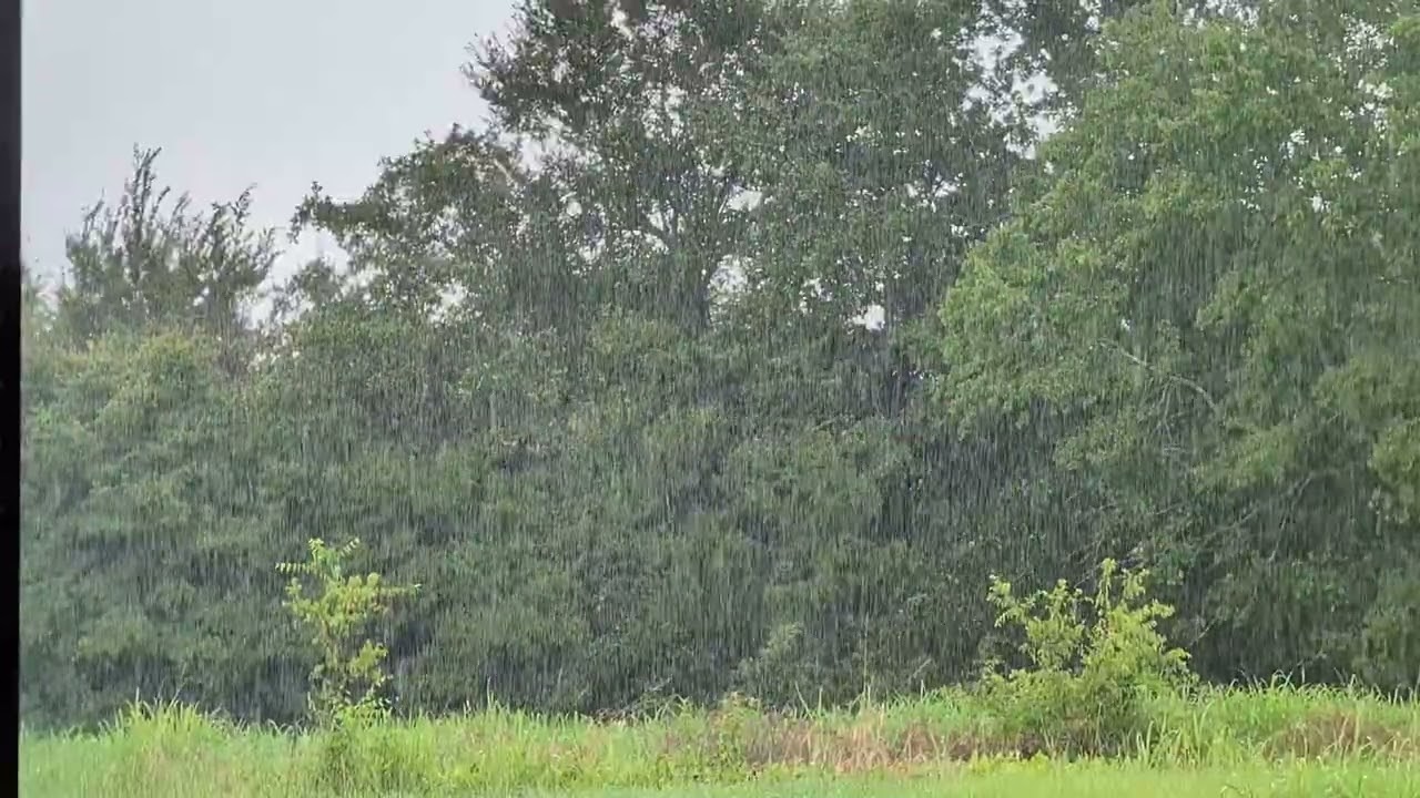 Interval Rain with Train Sounds, video