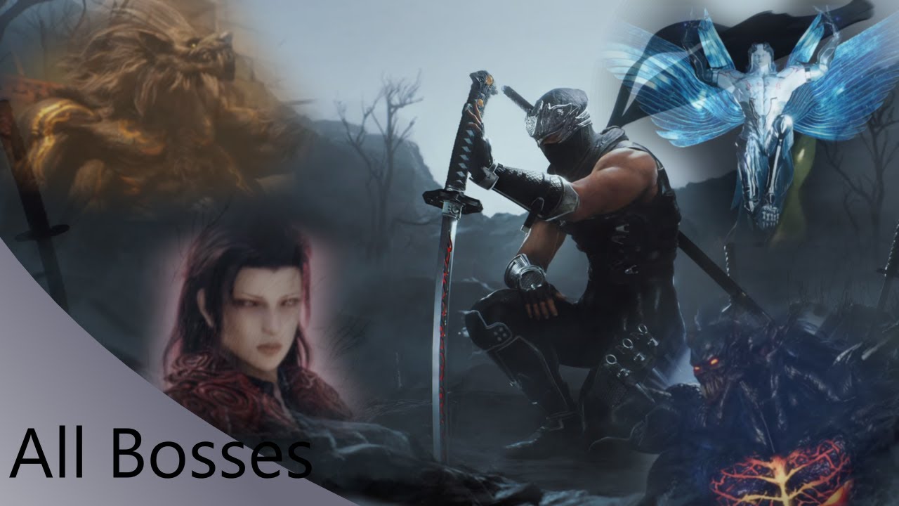 Ninja Gaiden 2 Black All Bosses PC Japnese Audio English Sub