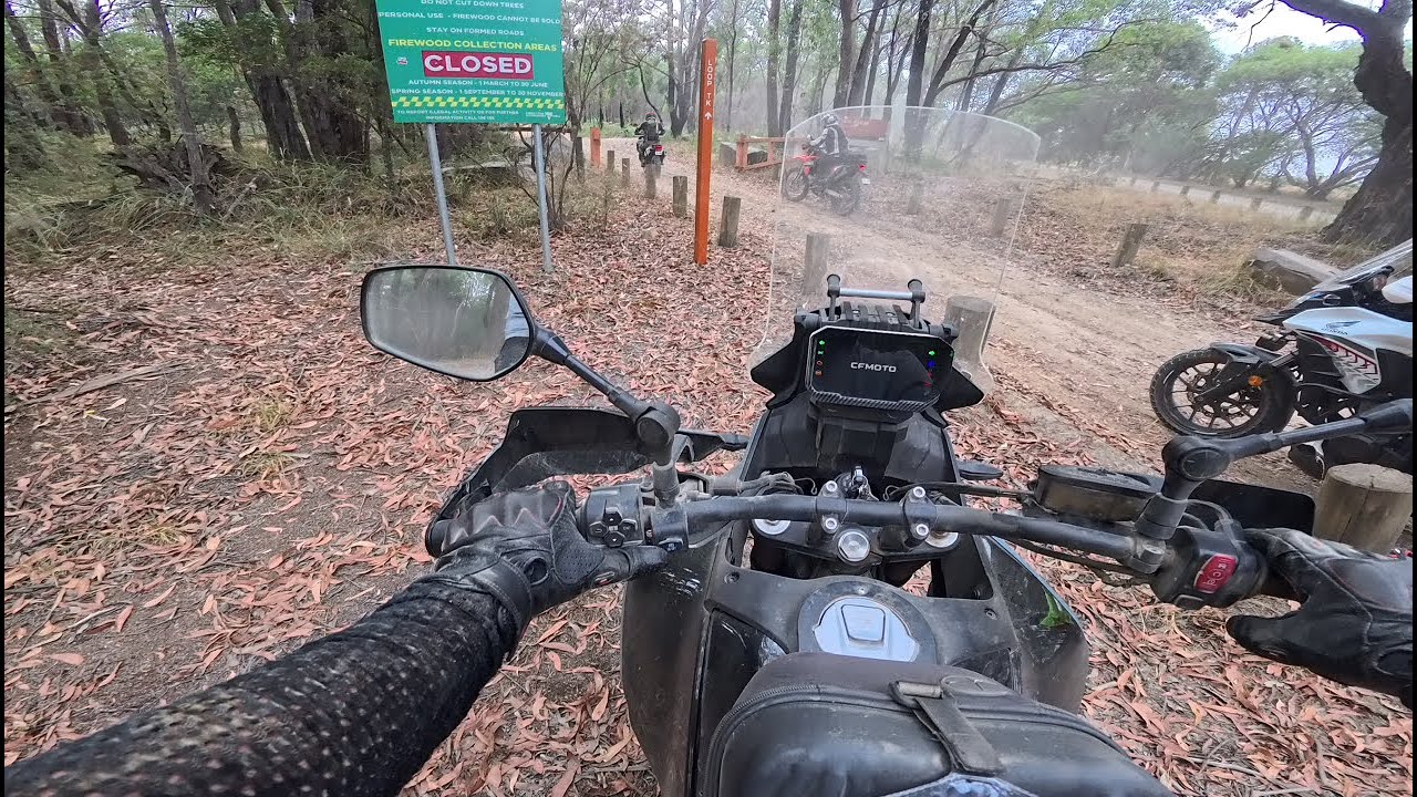 Pauls Range State Forest Toolangi Adventure Riding