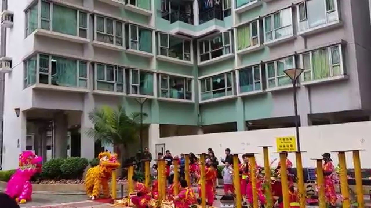 Chinese New Year Lion Dance and Dragon Dance, Sereno Verde, Yuen Long, 10th Feb 2016