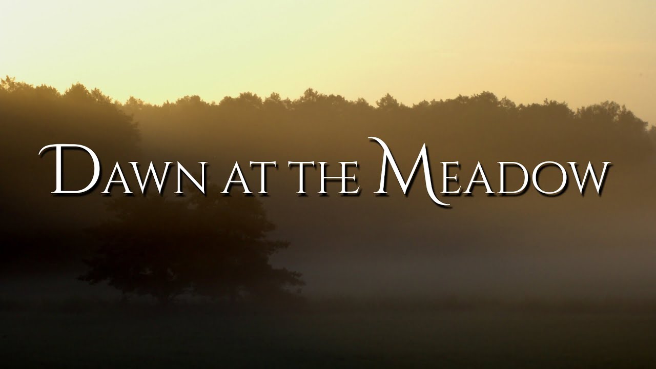 Meadow At Dawn - 1 Hour Live-Recorded - Ambient - No Loop