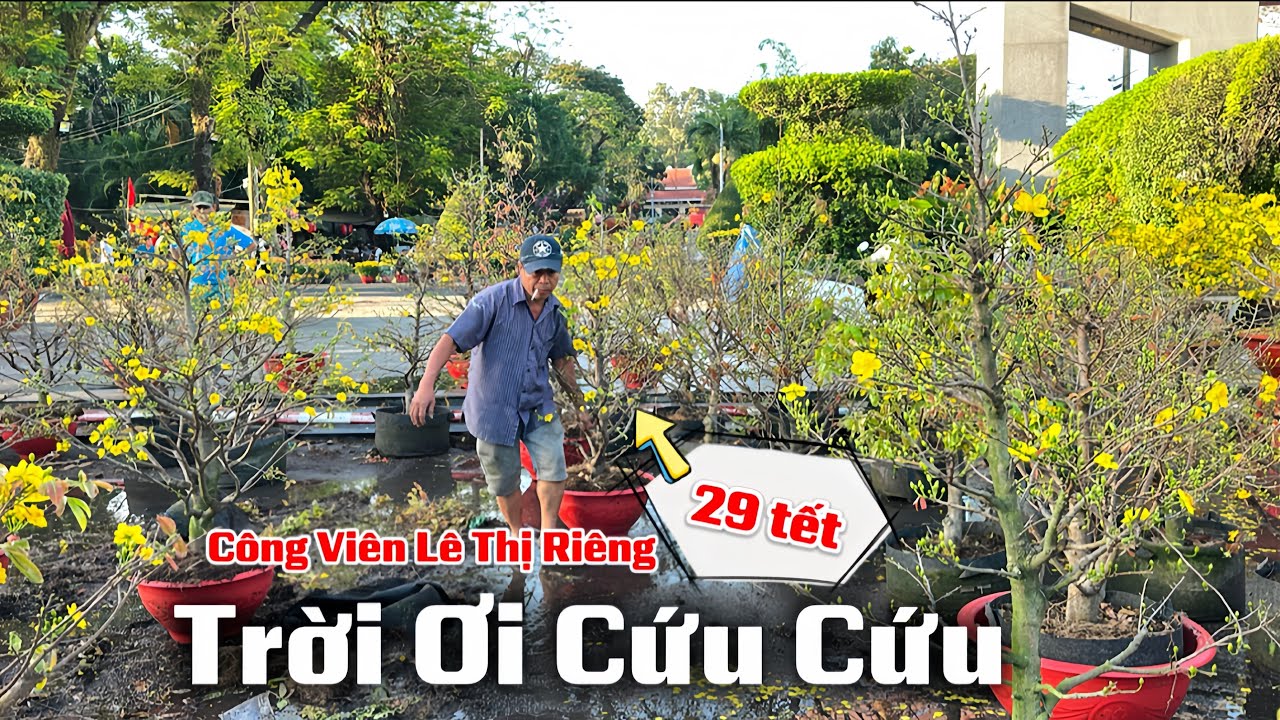 TRỜI ƠI CỨU CỨU Sáng 29 Tết Còn Một Nùi . XỔ HẾT VỀ QUÊ ĂN TẾT 