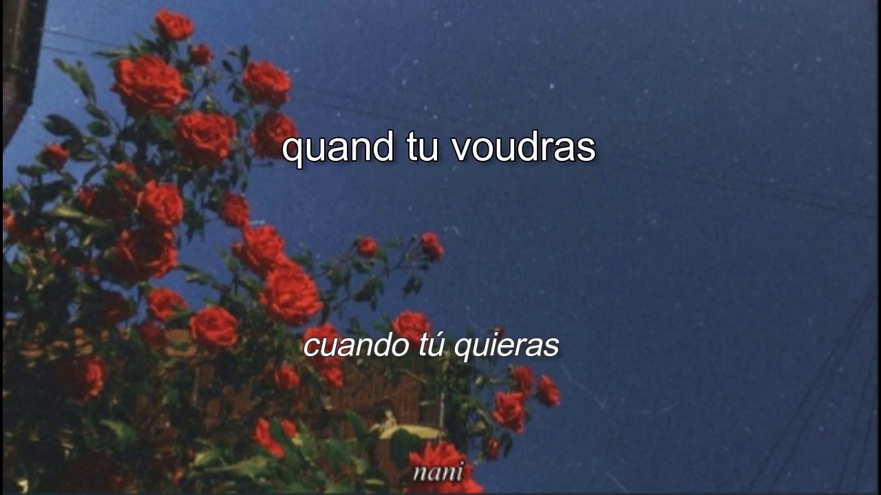 patrick watson // je te laisserai des mots (sub. franc&eacute;s-espa&ntilde;ol)