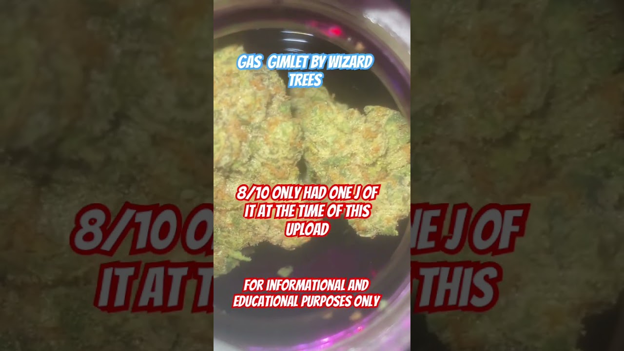 Gas Gimlet by Wizard trees