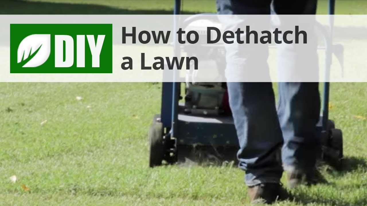 How to Dethatch a Lawn - Dethatching Tips