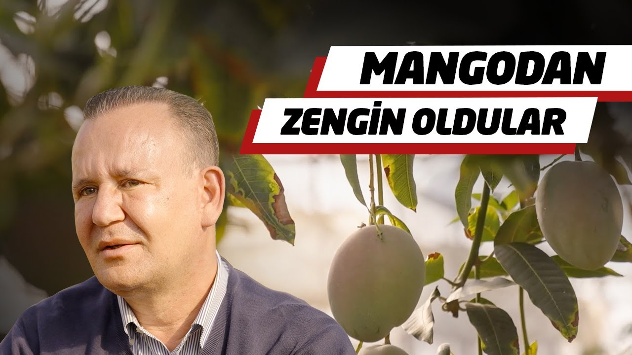 1 Dönümde 1 Milyon Lira Kazanıyorlar | Mangocular Kralı