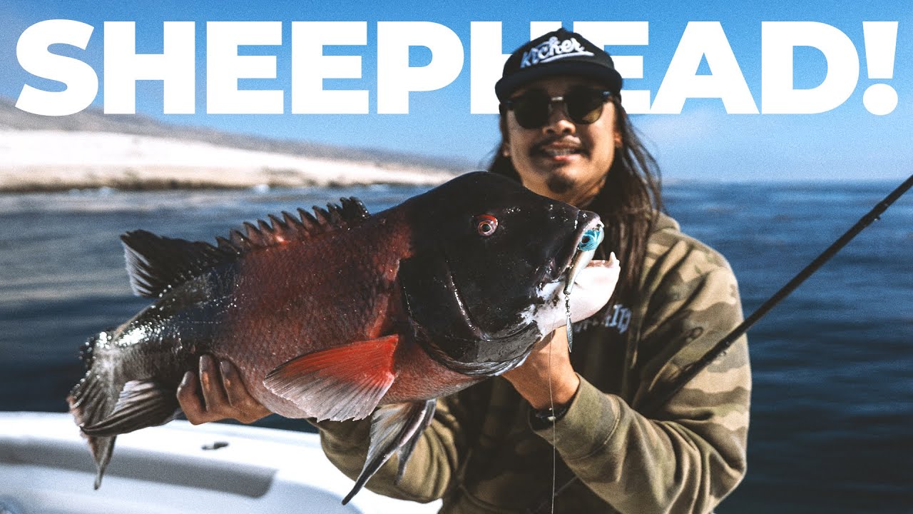 We Circumnavigated San Nicolas Island! 200 mile round trip!