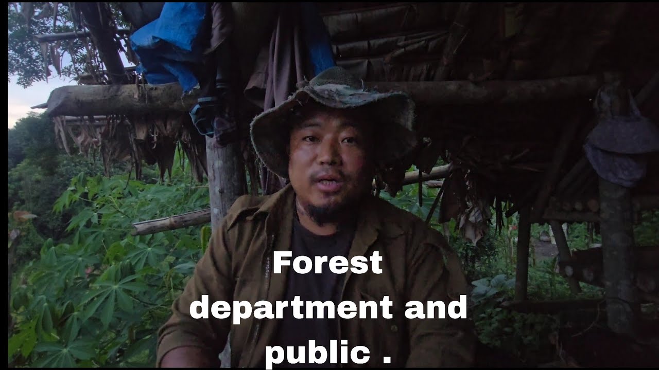 My opinion about wildlife conservation in Nagaland. 