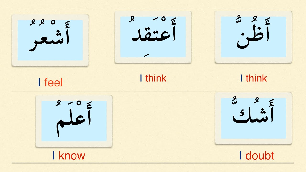 Useful Verbs in Arabic Language