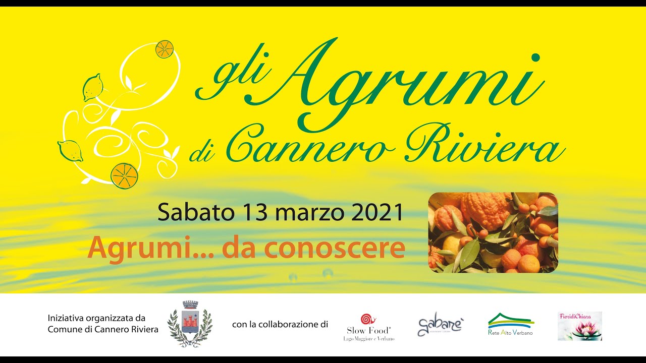 Agrumi... da conoscere