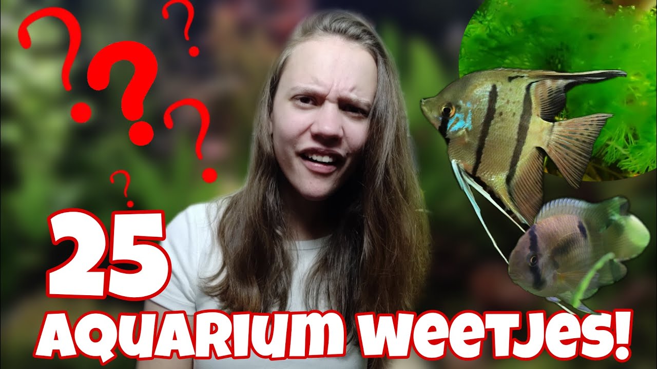 Wist JIJ dit al?! 25 AQUARUM FEITJES en 1 LEUGEN! //Nickey//