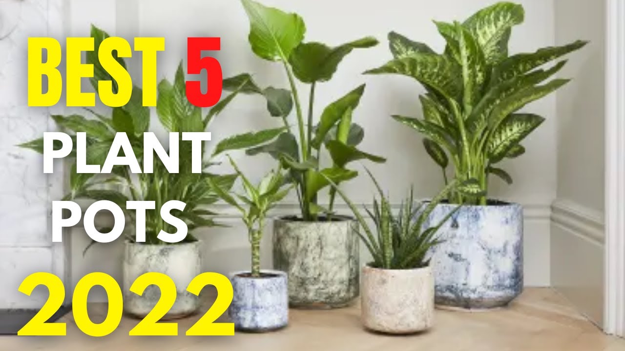 Best 5: Plant Pot - Ceramic Flower Planters Indoor 2022