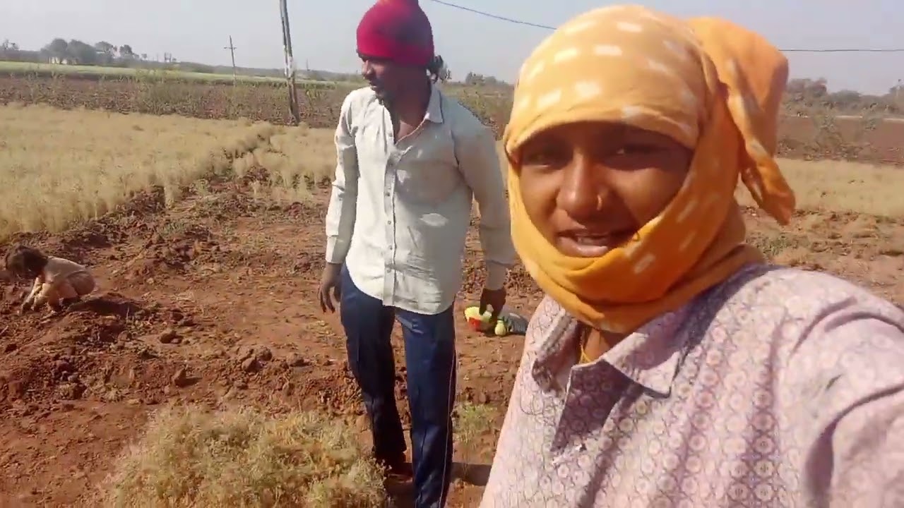 જીરું ઉપાડવાનું સ્ટાર્ટ | આજે મોટી શરૂઆત / ગુજરાતી બ્લોગ 😍