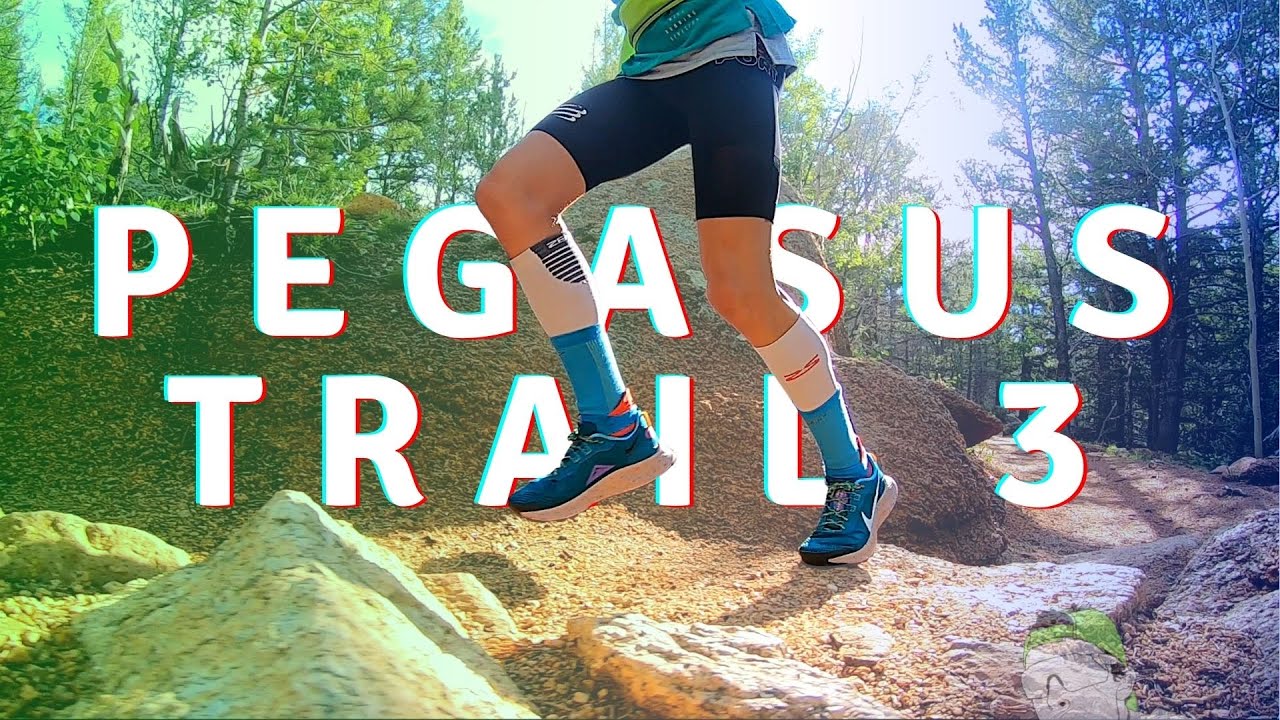 Nike Pegasus Trail 3 running 26 Miles w/ 7300' of VERT, SPICY