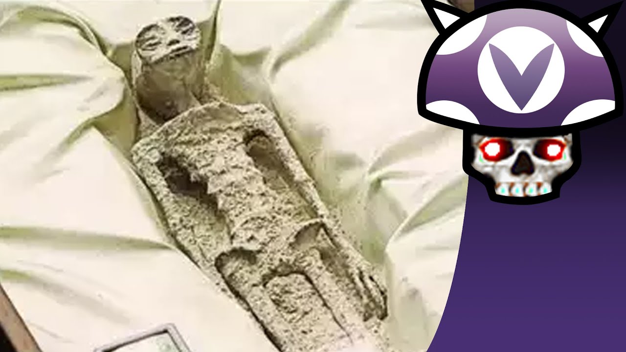 [Vinesauce] Джоэл — НАСТОЯЩИЙ пришелец в Мексике