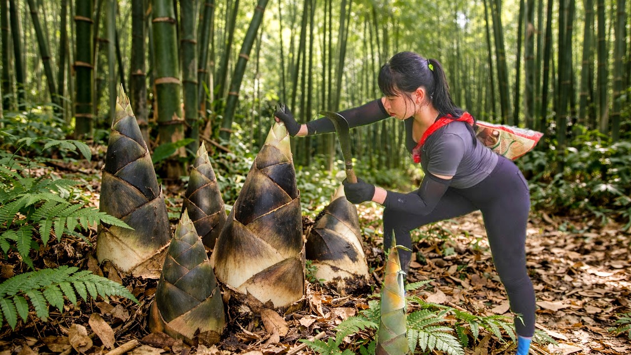 Harvesting Tons of Bamboo Shoots for Market | Rural Life & Forest Foraging
