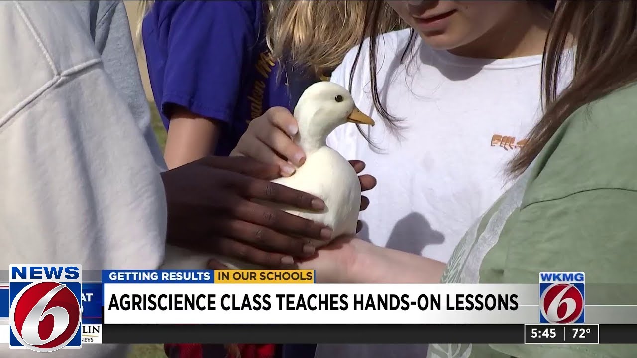 'Agriculture is in everything:' Why Orange County is expanding agriscience classes