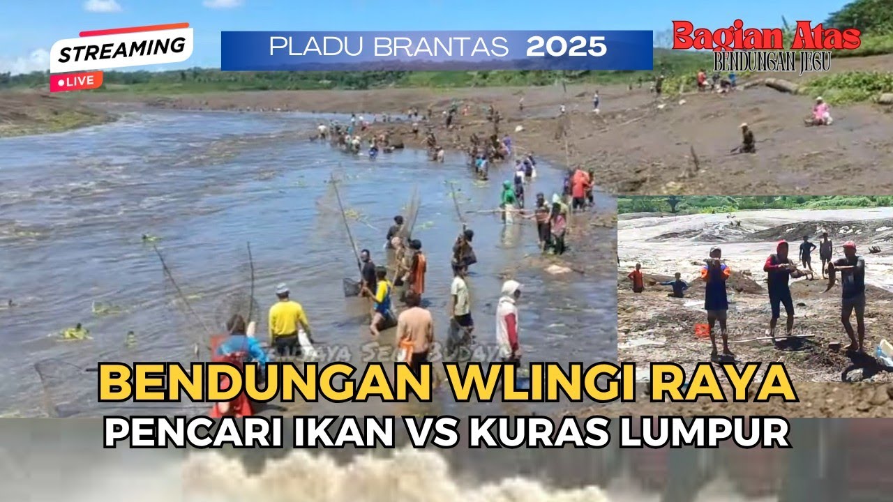 🔴 Live Pladu 2025‼️Bendungan Wlingi Raya Sungai Brantas Kabupaten Blitar